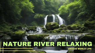 Riparian Rhapsody 🌸 Relaxing River Sounds, Nature's Melodic Embrace for Ultimate Serenity