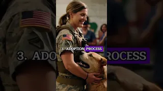 Megan Leavey Facts! #megan #army #usa #iraq #america #facts #shorts #youtube #subscribe