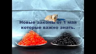 Новые законы от 1 мая которые важно знать.