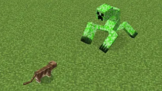 will mutant creeper afraid of cat?