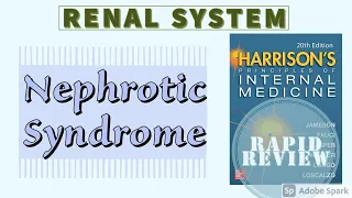 NEPHROTIC SYNDROME | Definition | Causes | Clinical Features | Treatment | Rapid Review | Harrison