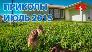 САМЫЕ ЛУЧШИЕ ПРИКОЛЫ (ИЮЛЬ 2015) сборка #9