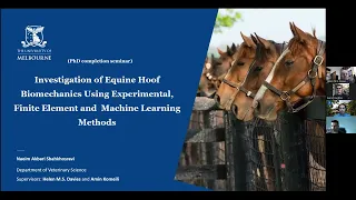 Investigation of Equine Hoof Biomechanics by Mr Naeim Akbari