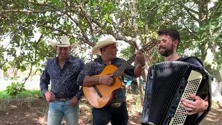 60 dias apaixonado - Falcão & Vardel e Gustavo Neves Acordeon