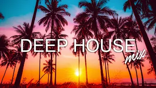 Avicii, Calvin Harris, Kygo, Alok, Robin Schulz, David Guetta, Gryffin - Summer Vibes Mix #323