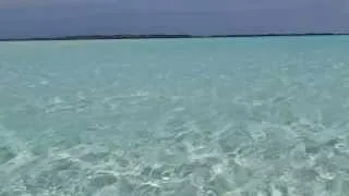 Unbelievably crystal clear water in Exuma, Bahamas