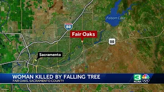 63-year-old Fair Oaks woman dies after tree falls on her