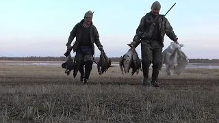 ОхОтА на гУсЕй 2023! GOOSE HUNTING!