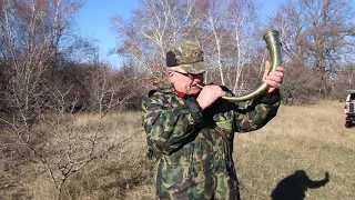 В Краснокутском районе начались состязания гончих по зайцу-рысаку