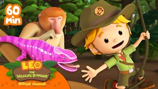 1 HOUR WITH REPTILES AND JUNGLE CREATURES! | Leo the Wildlife Ranger | Kids Cartoons | #compilation