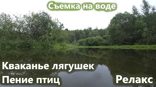 Кваканье лягушек, пение птиц, звуки природы, релакс на пруду. Съемка на воде.