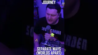 Journey - Separate Ways (Worlds Apart) - Cover