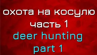 ОХОТА НА КОСУЛЮ. ЧАСТЬ 1. DEER HUNTING part 1