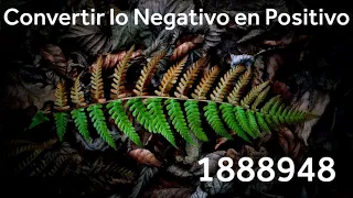 Convertir lo Negativo en Positivo con la ayda de los Números Grabovoi - 1888948