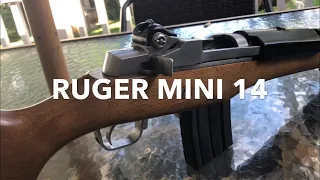 Ruger Mini 14 - the long and the short of it