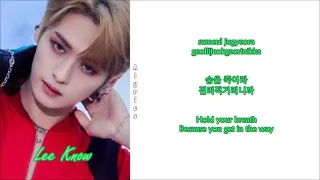 Stray Kids - WOLFGANG (OT8 Ver.) (Rom-Han-Eng Lyrics) Color & Picture Coded