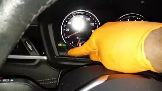 BMW X2 S DRIVE 28i 2019 OIL SERVICE LIGHT RESET