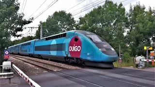 TGV et RER C au passage à niveau d'Antony - PN n°9 de Fontaine-Michalon (92).