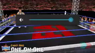 The Undertaker vs Roman reigns( Wrestlemania 33 )
