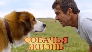 Собачья Жизнь [2017] Русский Трейлер