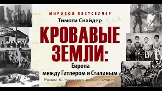 Раздел 8  Нацистские фабрики смерти. Кровавые земли. Европа между Гитлером и Сталиным