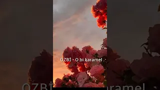 Ozbi -  O bi  karamel speed up