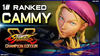 Baliox (Cammy) ➤ Street Fighter V Champion Edition • SFV CE