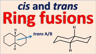 cis and trans ring fusions