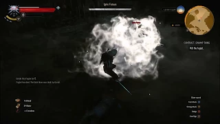 The Witcher 3 - Ignis Fatuus (Death March, Low Level, No Damage)