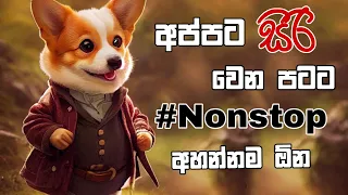 NEW tiktok famous songs 2023 // new sinhala songs 2023 // tiktok songs sinhala