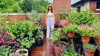 July Container Garden Tour | Front Rooftop Deck Garden