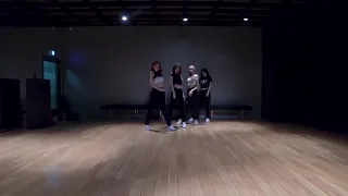 Blackpink "Ddu Du Ddu Du" Mirrored Dance Practice, 블랙핑크 "뚜두뚜두" 안무 거울모드