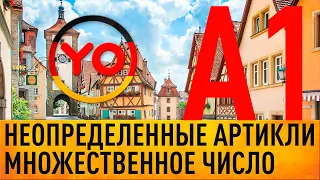 Артикли, Отрицание kein, Множественное число, Вопросительные предложения  | Deutschlehrerin