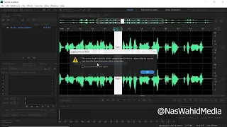 Most Simple Tutorial to Adobe Audition | Learn with step by step beginner's guide - Nas Wahid Media