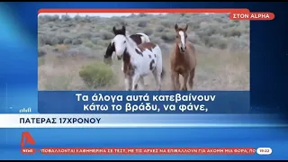 Ναύπακτος: Σοβαρό ατύχημα όταν μοτοσικλέτα συγκρούστηκε με αγέλη αλόγων