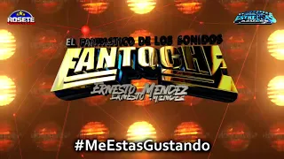 ESTRENO SONIDO FANTOCHE SAN PABLO DEL MONTE TLAXCALA CON SONIDO FANIA Y SONIDO FAMOSO 2020