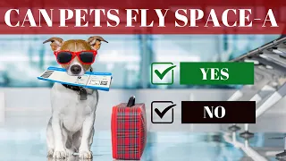CAN PETS FLY MILITARY SPACE-A | Are pets or support animals allowed under the regulations?