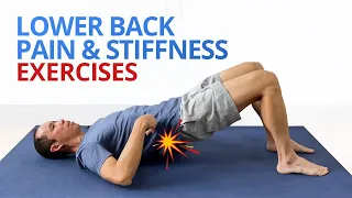 INSTANT RELIEF from Lower Back Pain and Stiffness (4 EASY Exercises!)