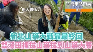 【孫女訪問中】新北山藥大戰真的最終回！解開嶺腳比較貴之謎，最後還跟拍到山藥大賽現場！│街訪EP38