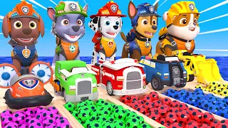 PAW Patrol Guess The Right Door ESCAPE ROOM CHALLENGE Animals Tire Game Cow Mammoth Elephant Tiger