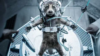 Guardians of the Galaxy Vol. 3 - The Sad Backstory of Rocket's Friends (2023)