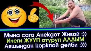 Кыргызча Живой Анекдот 😋 Ичеги ЖУУП отуруп АЛДЫМ 🤣  | Элдик Роликтер