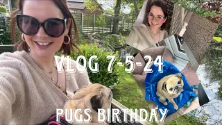 Real life vlogs my pugs birthday 🎁 7 May 2024 #vlog