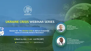 Ukraine Crisis and African Economies: Session XII