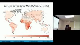 Cervical Cancer Prevention in Low Resource Settings:  From Evidence to Implementation
