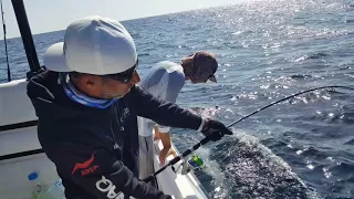 Yellowfin Fishing in oman - رحلة صيد التونا في مسقط