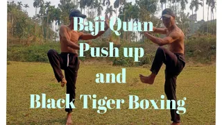 Baji Quan black Tiger #Boxing and Push Up||Chinese #martialarts