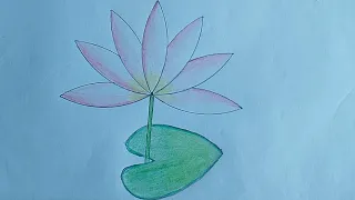 How to draw a water Lily step by step (very easy) || art video