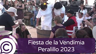 Fiesta de la Vendimia Peralillo incluyó grandes artistas y elaboración de vinos