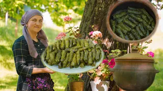 Stuffed grape leaves recipe in the village - Azerbaijani cuisine